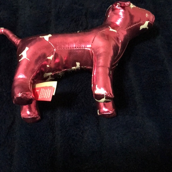 Pink dog - Picture 3 of 4